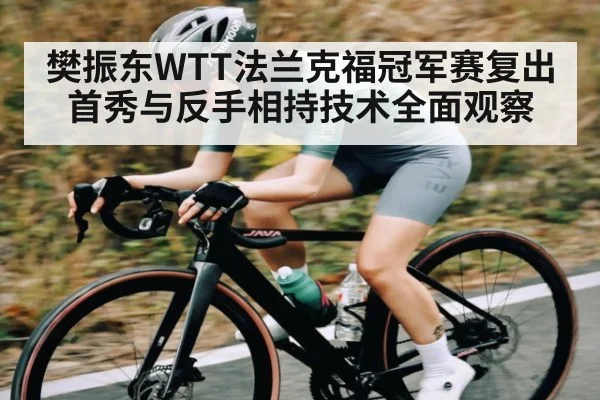 樊振东WTT法兰克福冠军赛复出首秀与反手相持技术全面观察
